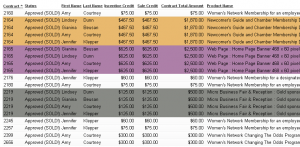 Example of the new split sale highlighting feature in the  Salesperson Incentive and Sales Credit report 